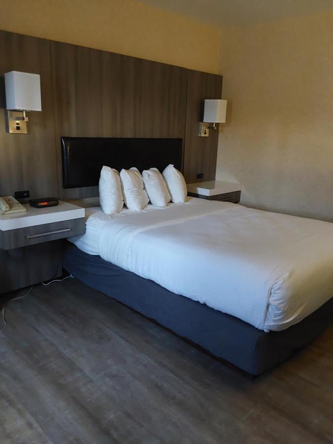Lavissh Inn And Suites Белингам Екстериор снимка